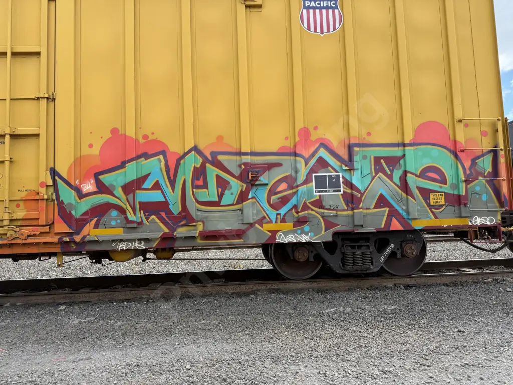 UP701313 - NORTH-AMERICA