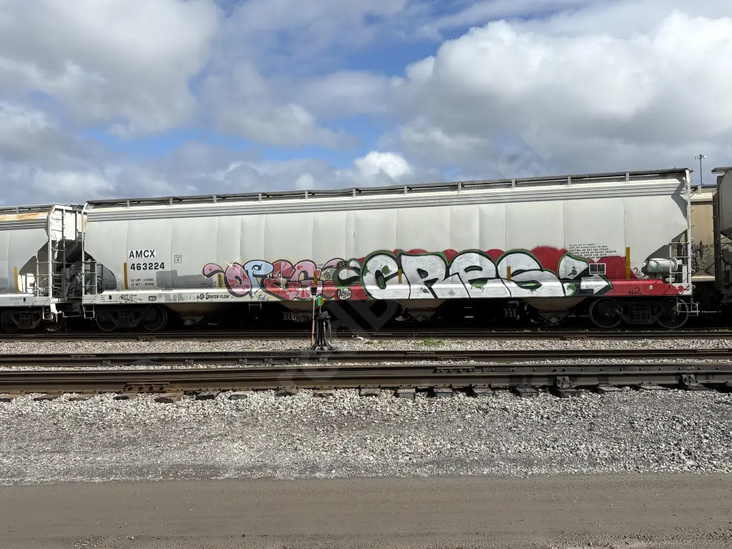 AMCX463224 - NORTH-AMERICA