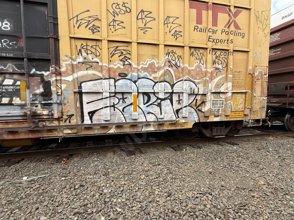 FBOX502110 - NORTH-AMERICA