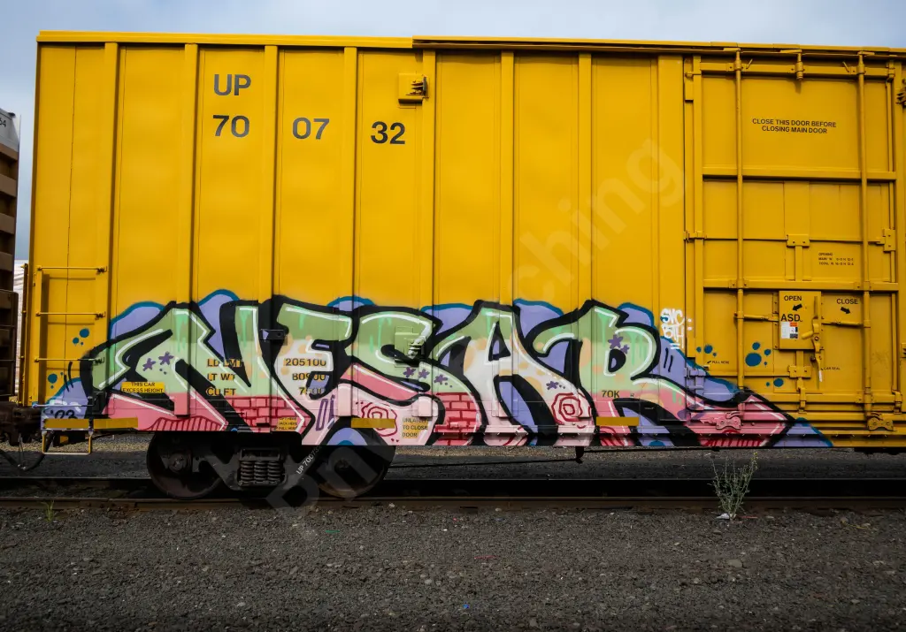 UP700732 - NORTH-AMERICA