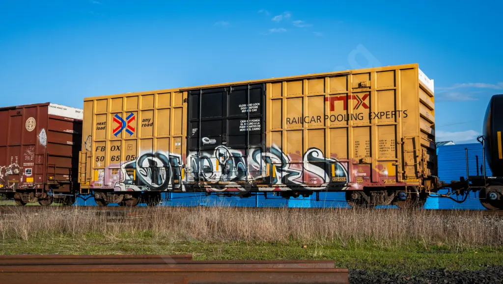 FBOX506505 - NORTH-AMERICA