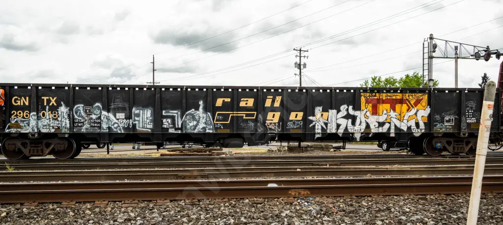 GNTX296018 - NORTH-AMERICA