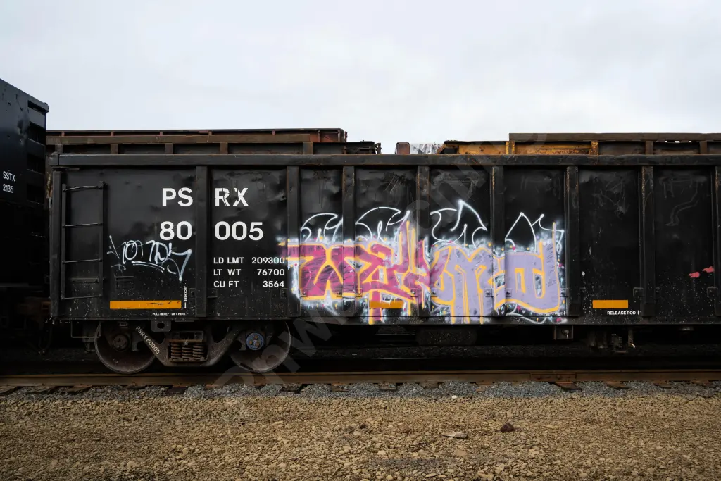 PSRX80005 - NORTH-AMERICA