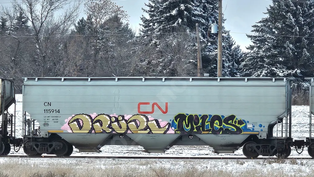 CN115914 - NORTH-AMERICA