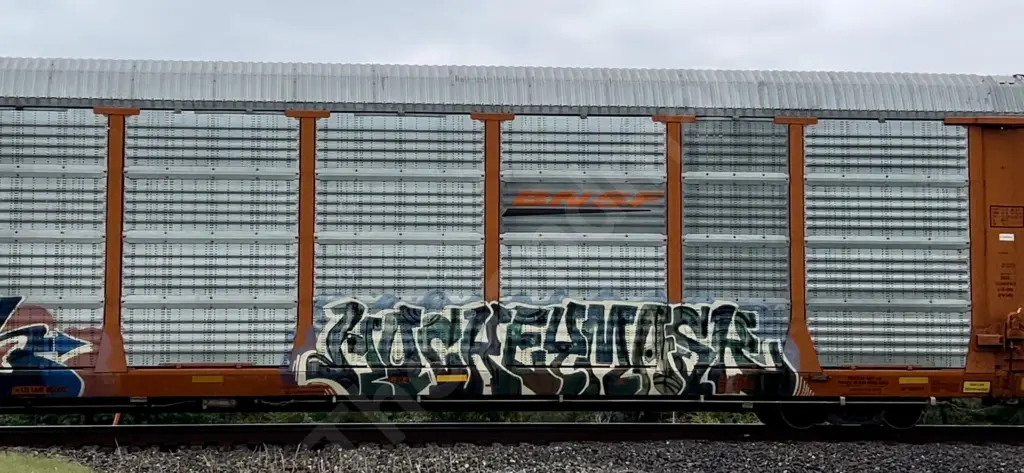 BNSF302909 - NORTH-AMERICA