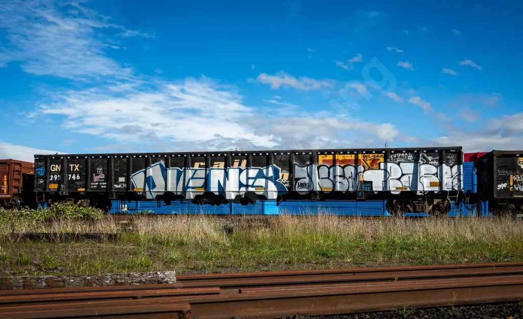 GNTX295746 - NORTH-AMERICA