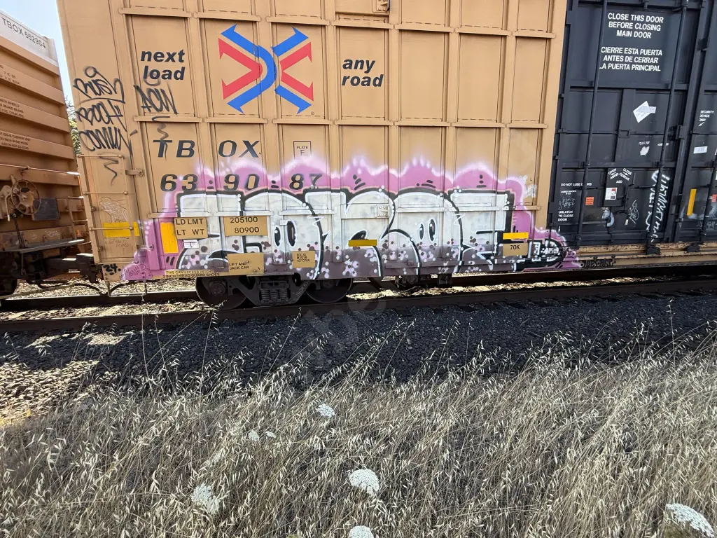 TBOX639087 - NORTH-AMERICA