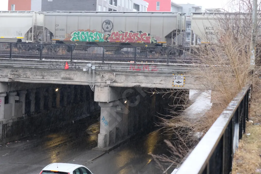 CP651485 - NORTH-AMERICA