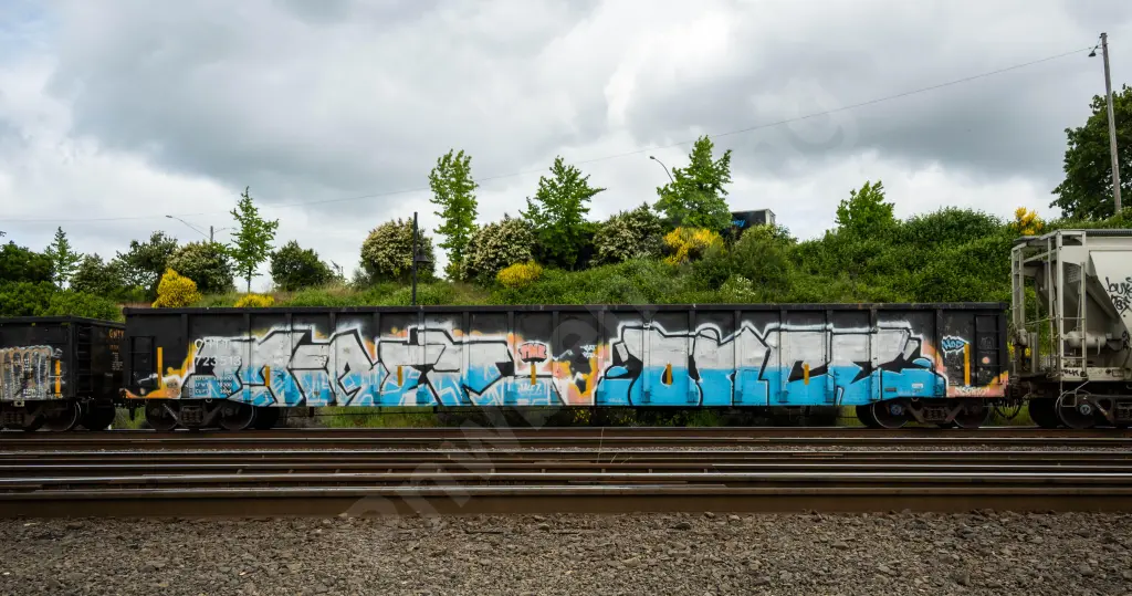CHTT723513 - NORTH-AMERICA