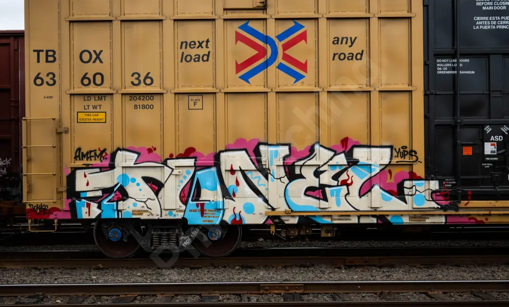 TBOX636036 - NORTH-AMERICA