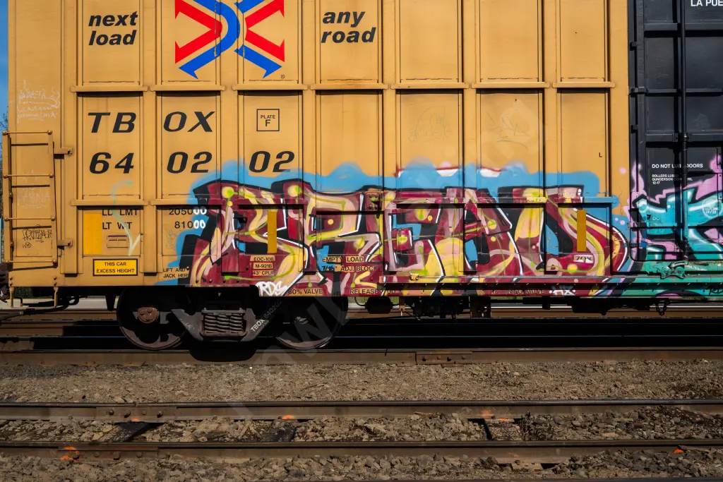 TBOX640202