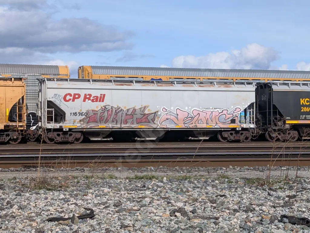 Train photo