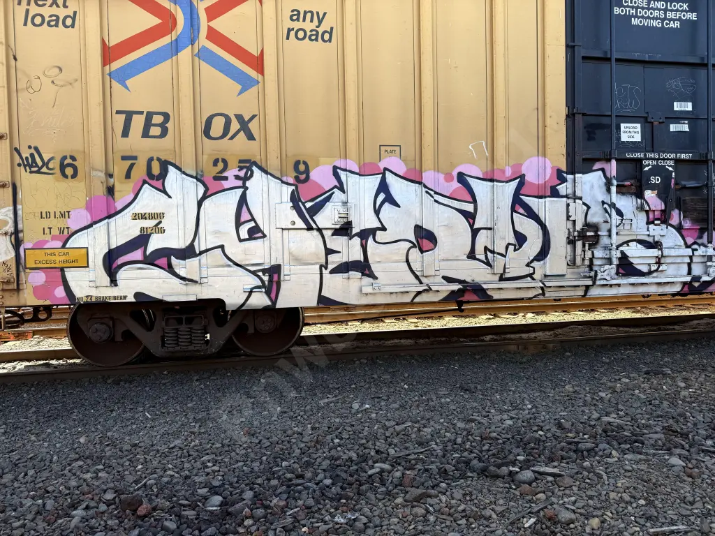TBOX670259 - NORTH-AMERICA