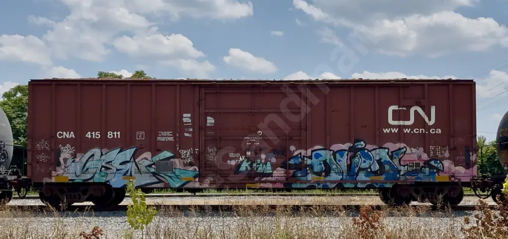 CNA415811 - NORTH-AMERICA