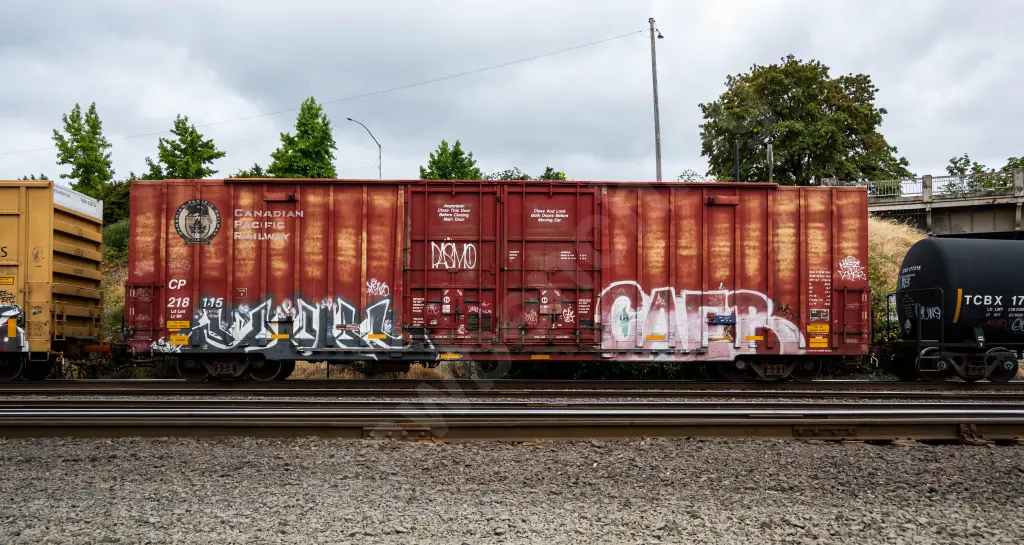 CP218115 - NORTH-AMERICA