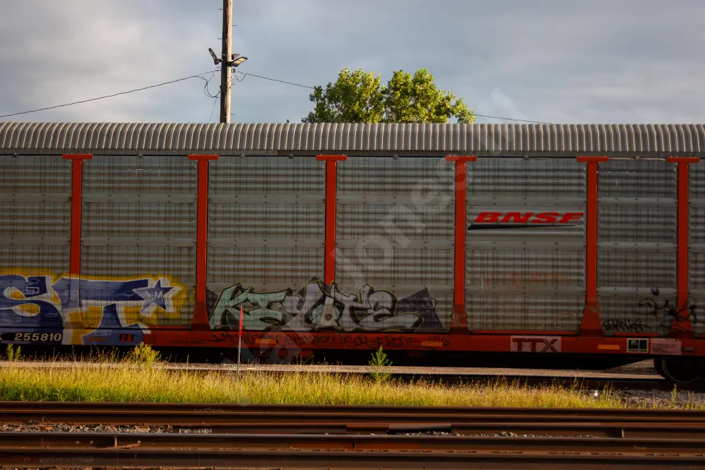 TTGX255810 - NORTH-AMERICA