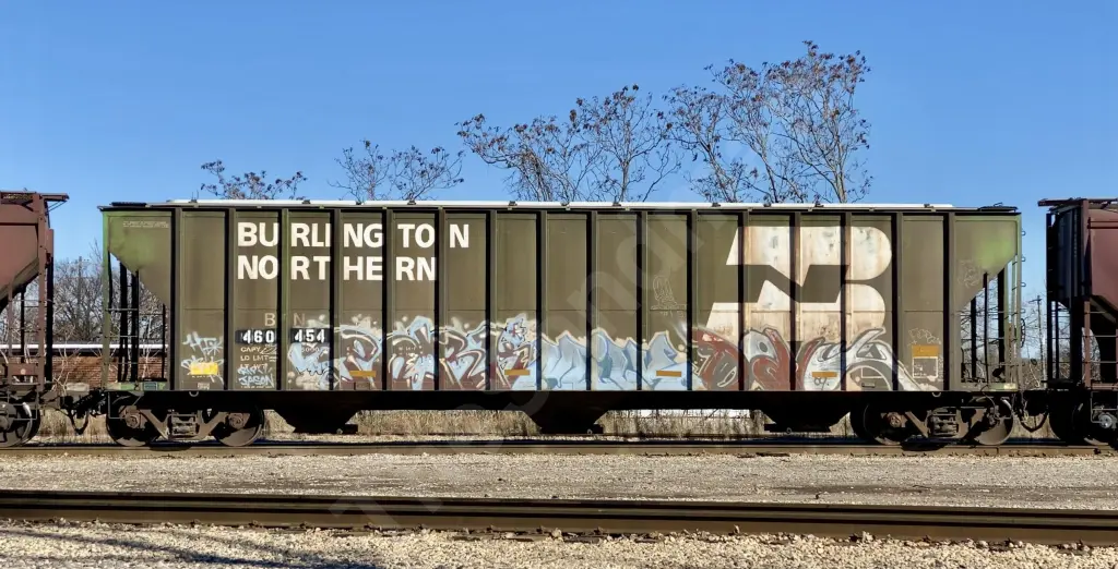BN460454 - NORTH-AMERICA