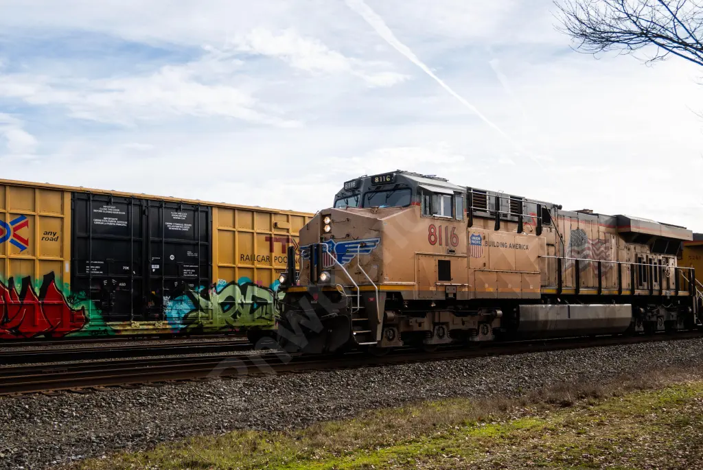 UP8116 - NORTH-AMERICA