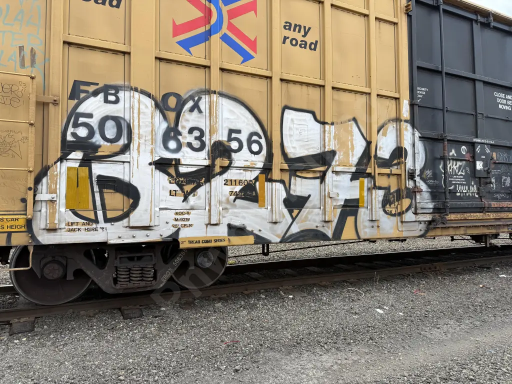 FBOX506356 - NORTH-AMERICA
