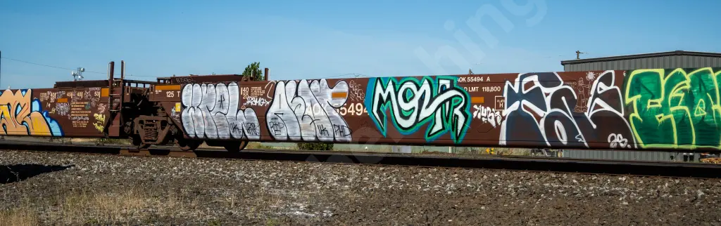 AOK55494 - NORTH-AMERICA