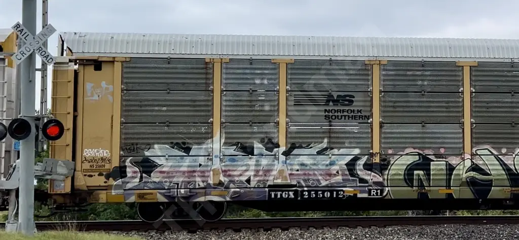 TTGX255012 - NORTH-AMERICA