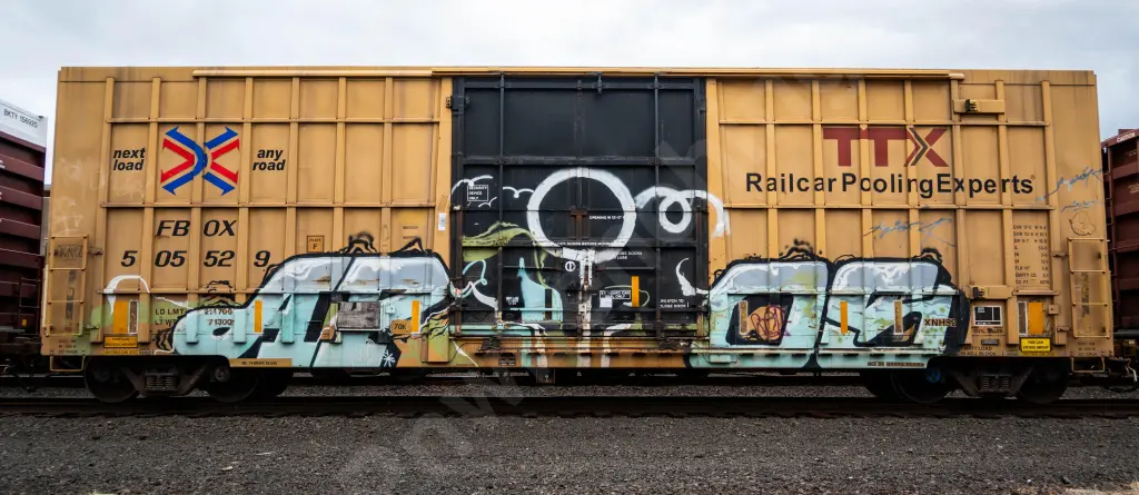 FBOX505529 - NORTH-AMERICA