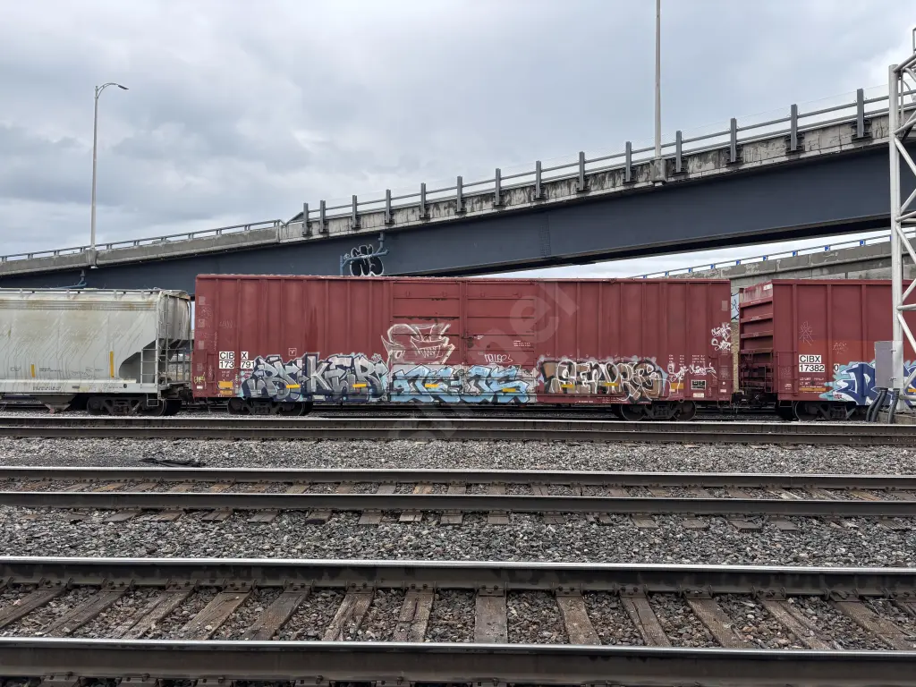 CIBX173791 - NORTH-AMERICA