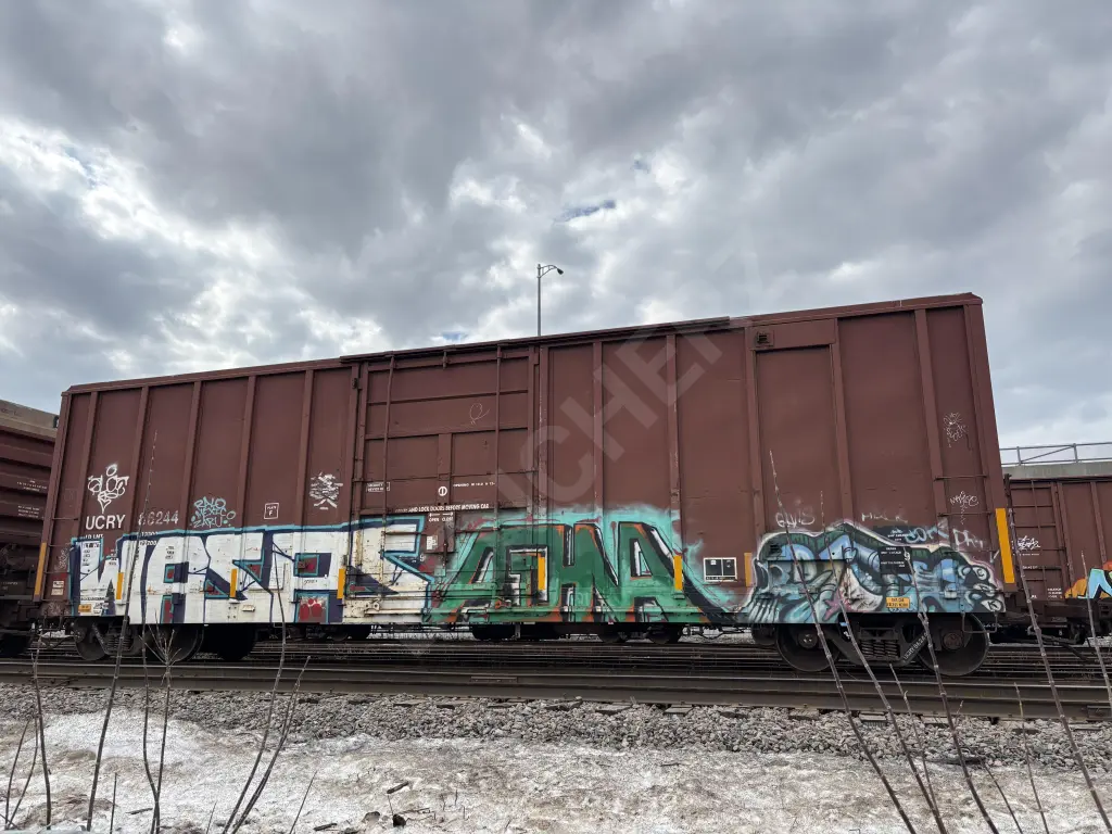 UCRY86244 - NORTH-AMERICA