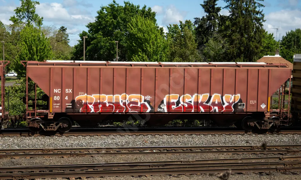 NCSX804 - NORTH-AMERICA