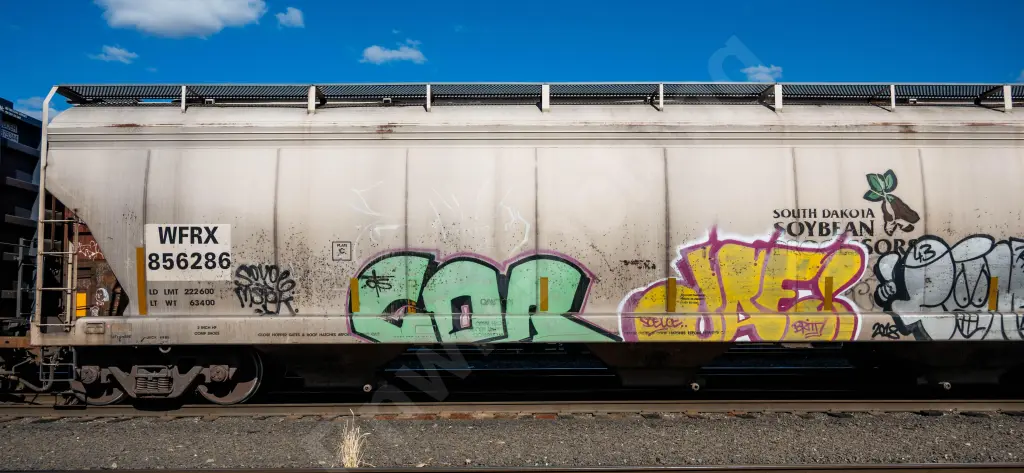 WFRX856286 - NORTH-AMERICA