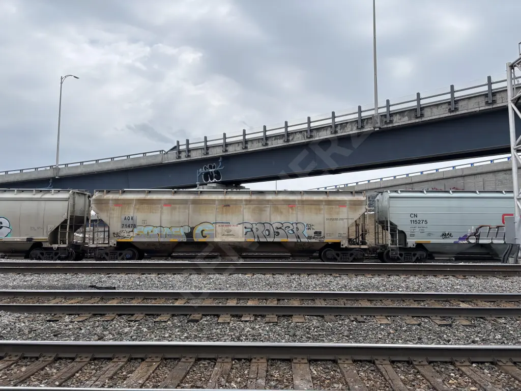 AOK71478 - NORTH-AMERICA