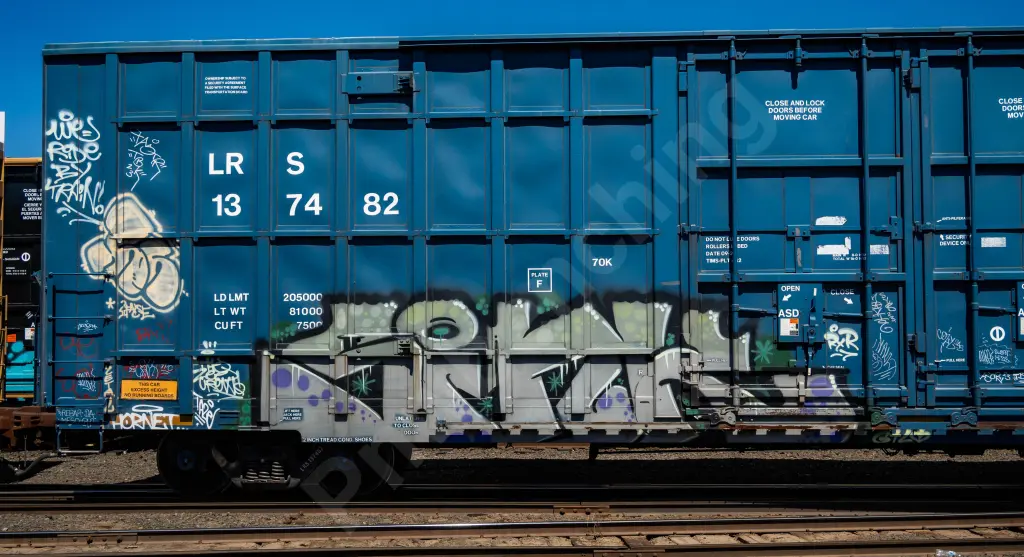 LRS137482 - NORTH-AMERICA