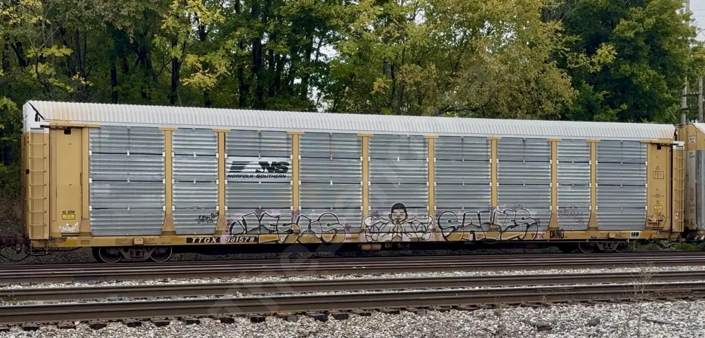 TTGX981578 - NORTH-AMERICA