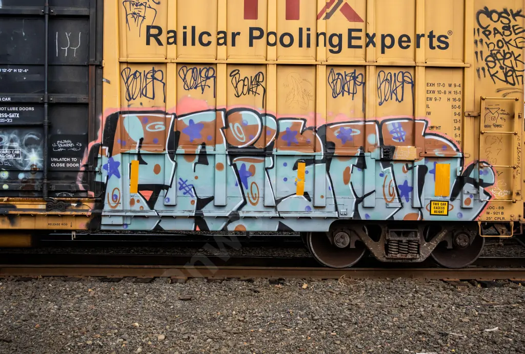 FBOX505855 - NORTH-AMERICA