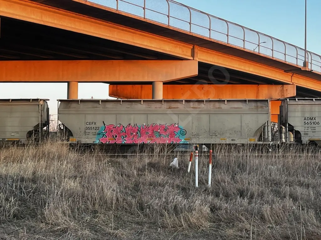 CEFX355122 - NORTH-AMERICA