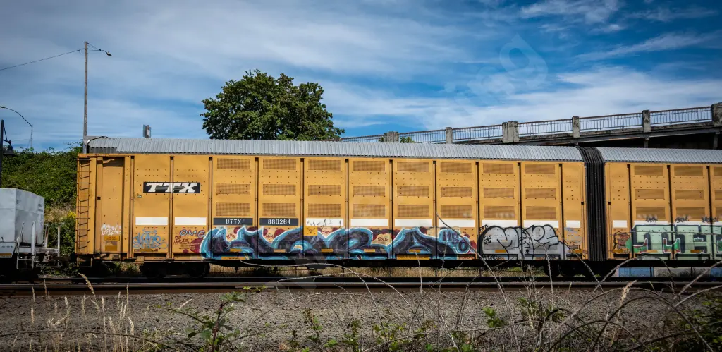 UTTX880264 - NORTH-AMERICA