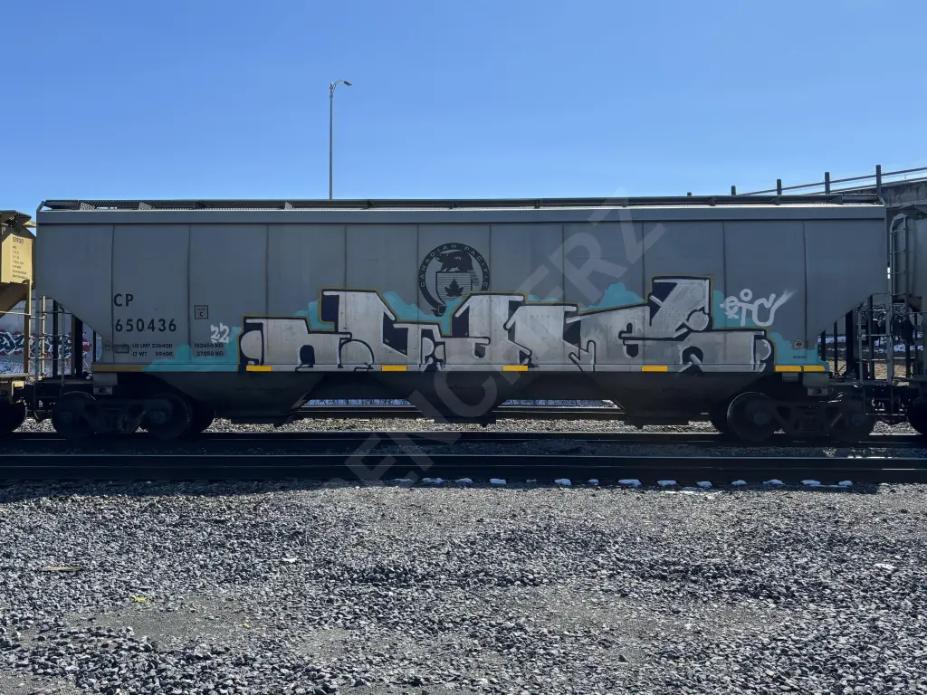 CP650436 - NORTH-AMERICA