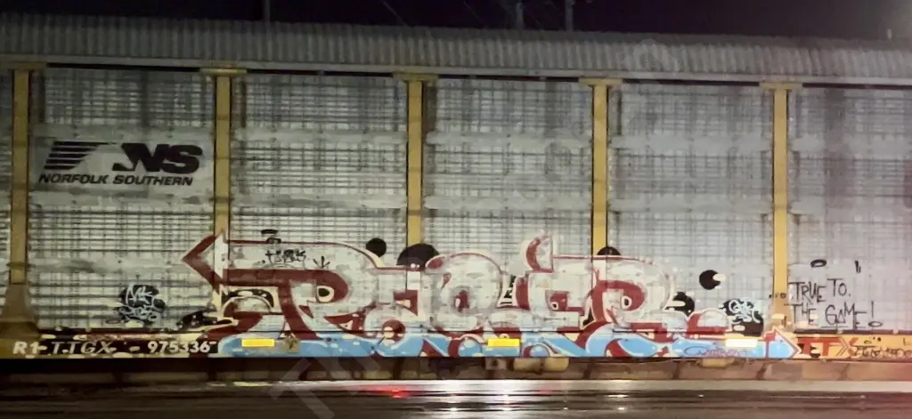 TTGX975336 - NORTH-AMERICA