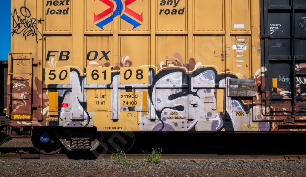 FBOX506108 - NORTH-AMERICA