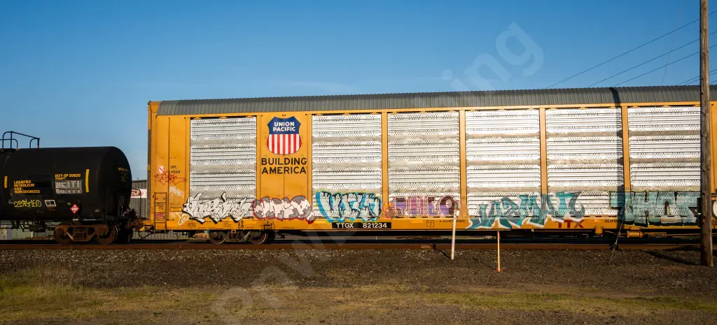 TTGX821234 - NORTH-AMERICA