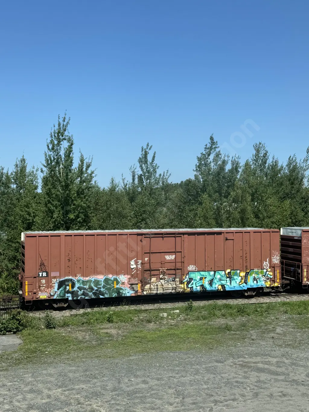 TR18261 - NORTH-AMERICA