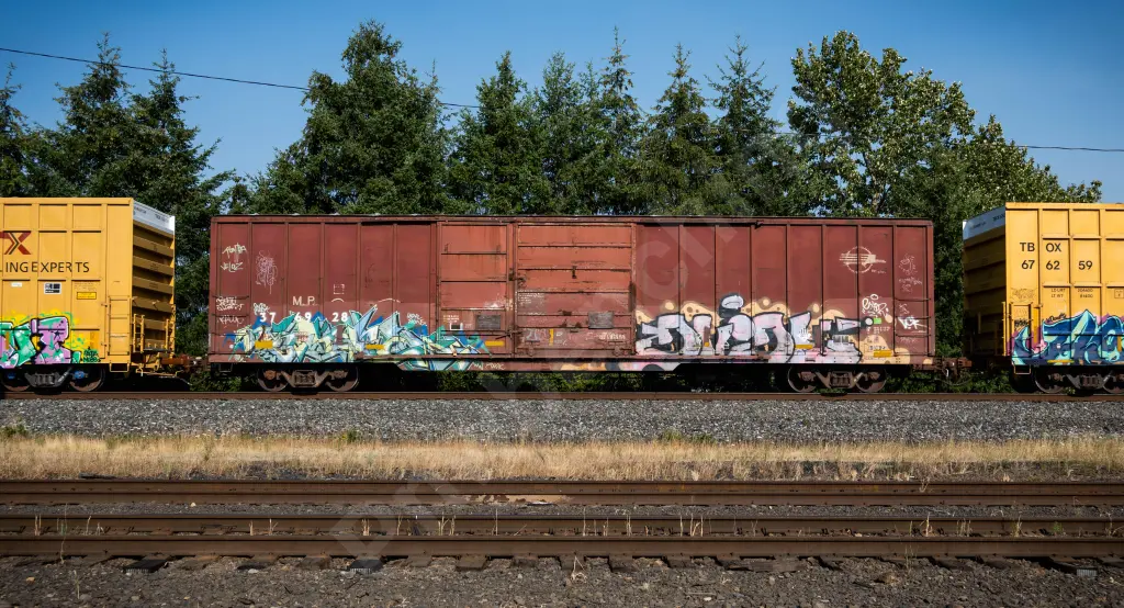 MP376928 - NORTH-AMERICA