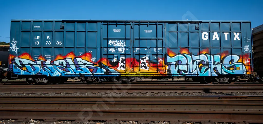 LRS137335 - NORTH-AMERICA