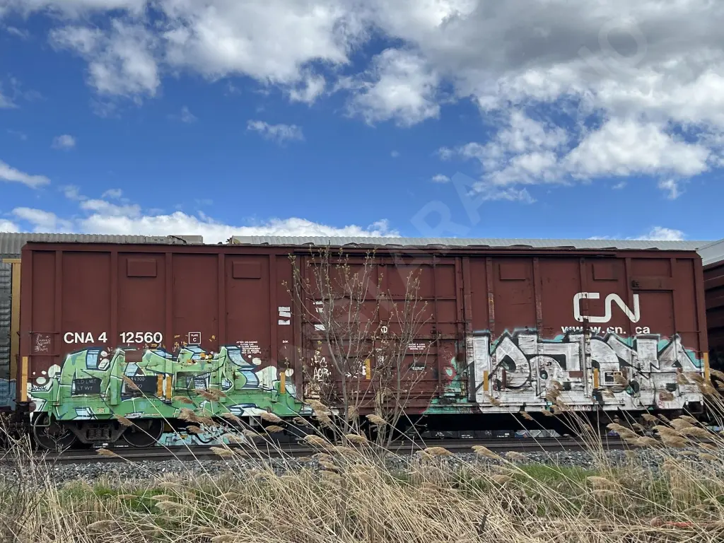 CNA412560 - NORTH-AMERICA