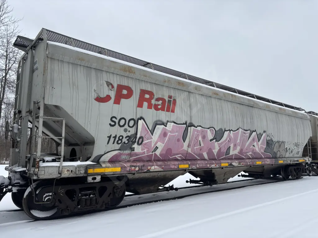 SOO118340 - NORTH-AMERICA