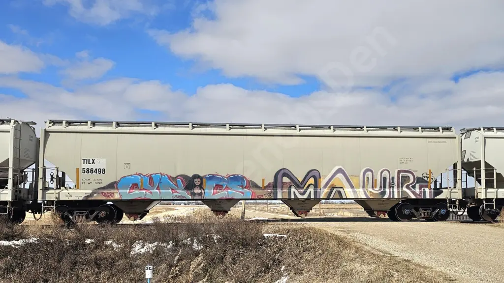 TILX586498 - NORTH-AMERICA
