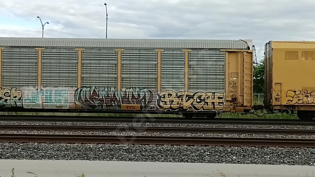 TTGX704486 - NORTH-AMERICA