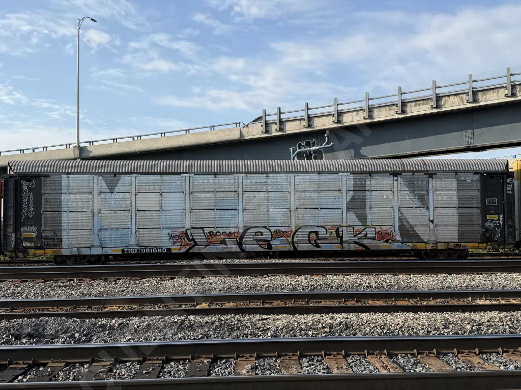 TTGX981690 - NORTH-AMERICA