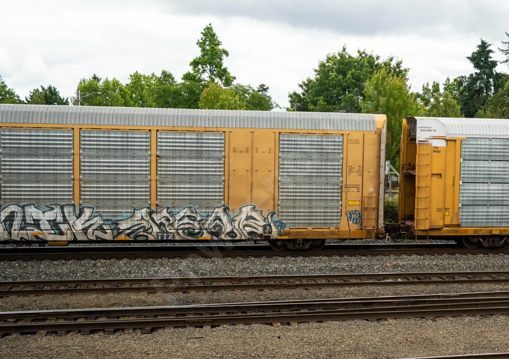 Train photo