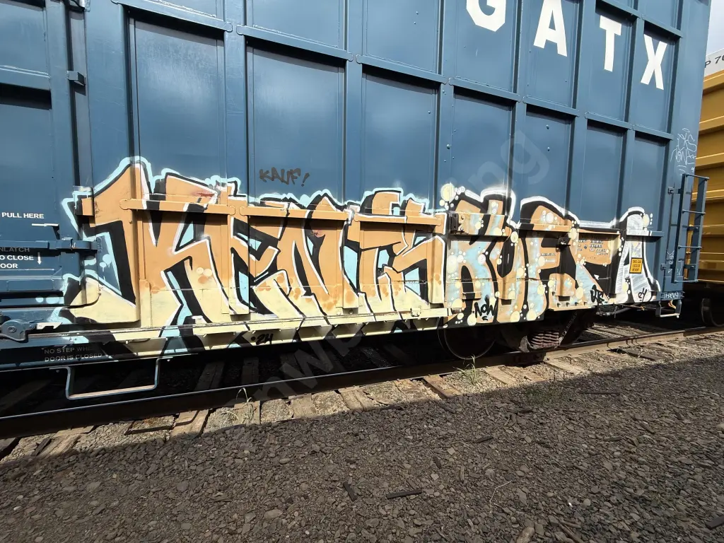 BKTY158569 - NORTH-AMERICA